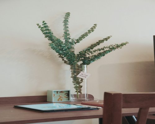 A glass of water next to a small green plant on a wooden desk near a window